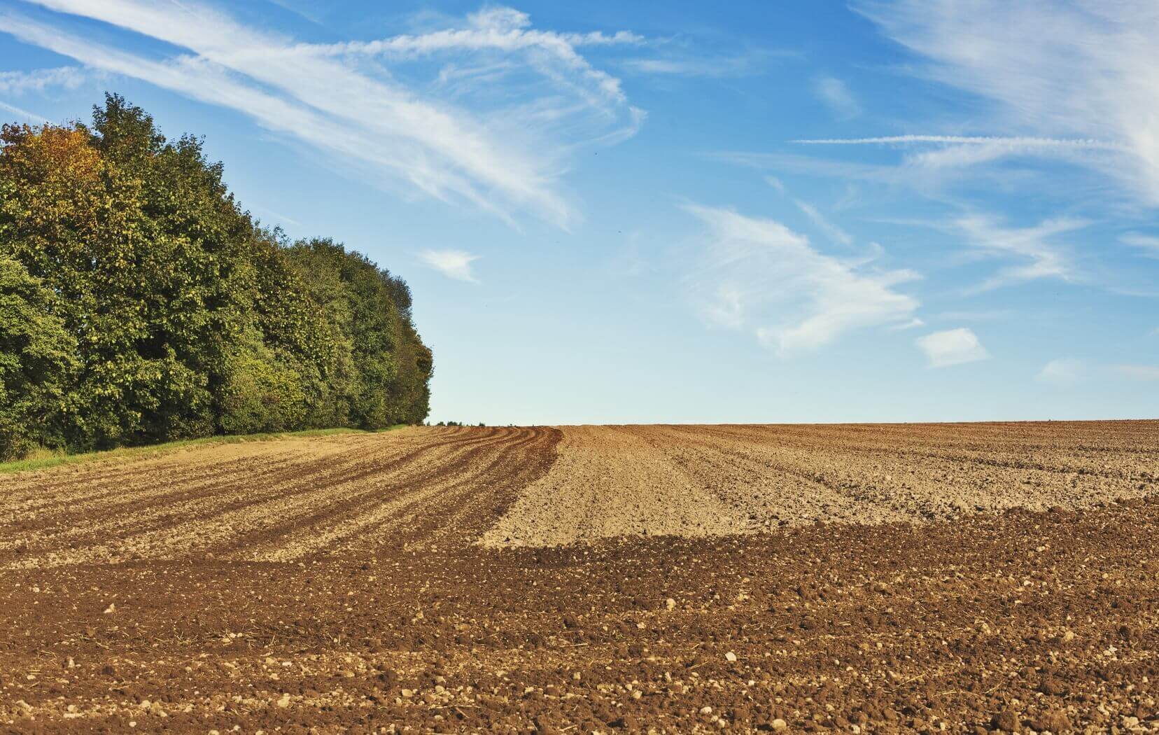 Natuur